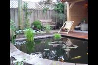 Tuin met houten overkapping, vlonder en vijver 3