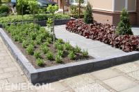 Kleine voortuin met nieuwe beplanting in borders