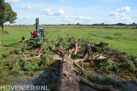 Verwerking boomopdracht