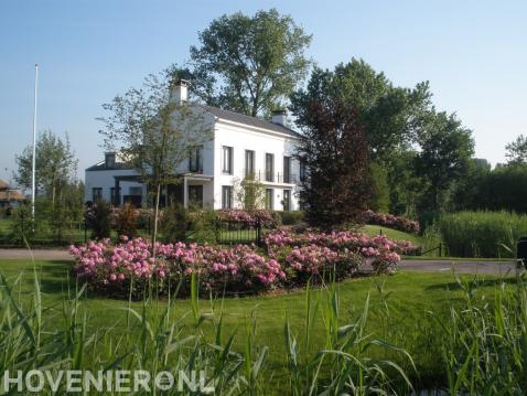 Kleurrijke bloemen in landschapstuin