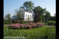 Kleurrijke bloemen in landschapstuin