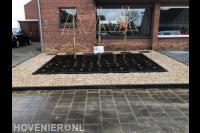 Voortuin aanleggen met grind, nieuwe beplanting en leibomen 1