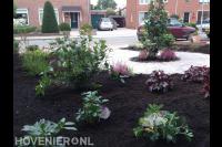Nieuwe beplanting en bestrating