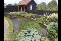 Grote vijver met waterlelies en moerasplanten