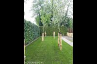 Graszoden leggen en bomen planten