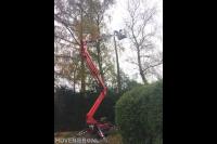 Boom kappen met inzet van hoogwerker