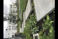 Looppad van grote stapstenen