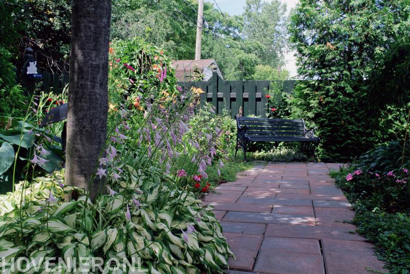 Hoveniersbedrijf de Groene Hoeve