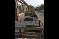 Onderhoudsvriendelijke voortuin met bestrating en houten tuinhek