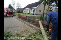 Boom in stukken zagen met kettingzaag