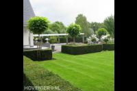 Ruime villatuin met groot gazon en veel groen 3