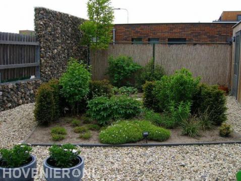 Tuin met schanskorf, grind en border met groen