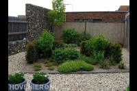 Tuin met schanskorf, grind en border met groen