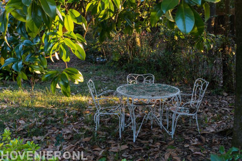 Guus Schutte Hovenier