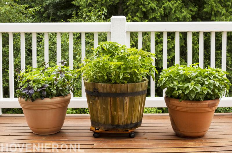 Hoveniersbedrijf van Gelderen