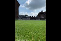 Kunstgras van dichtbij