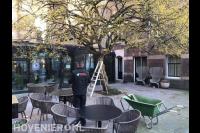 Hoveniersbedrijf Bloemin