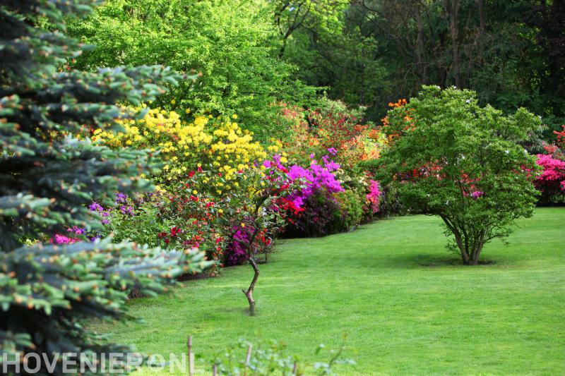 Hoveniersbedrijf Jeroen Hermans