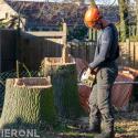 Groenverzorging Suurland