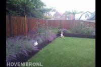 Kleurrijk bloeiende planten en siergras in verhoogde borders