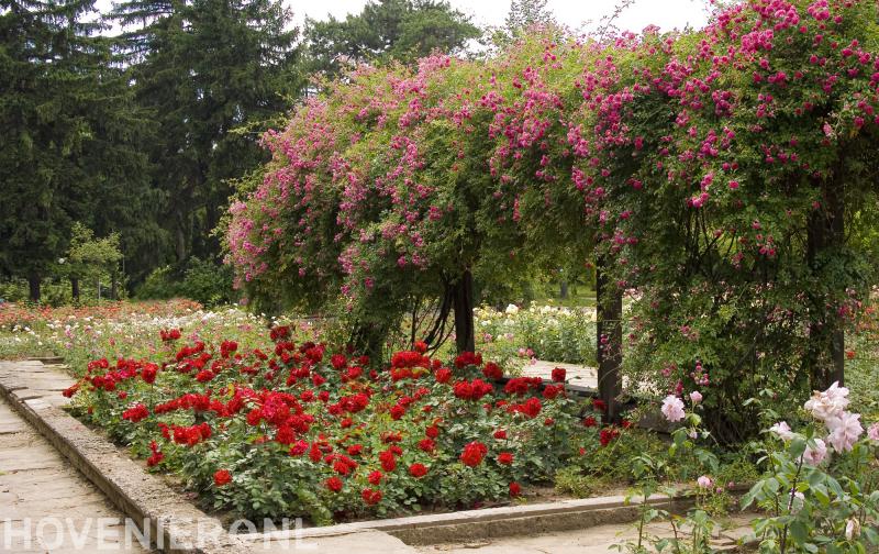 Tuintechnisch Bureau Smeulders Nuenen B.V.