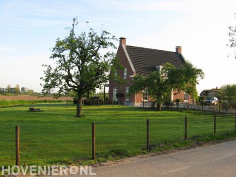 Landelijke tuin met gaashekwerk rondom gazon