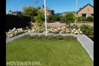 Aanleggen van voortuin met gazon en hortensia's