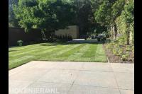 Tuinaanleg met sierbestrating, gazon van graszoden en tuinhuisje