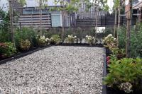 Tuinaanleg met grind, borders met nieuwe beplanting en leibomen