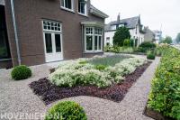 Onderhoudsvriendelijke tuin met bodembedekkers en grind