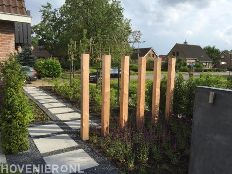 Voortuin met tuinpad, nieuwe beplanting en leibomen