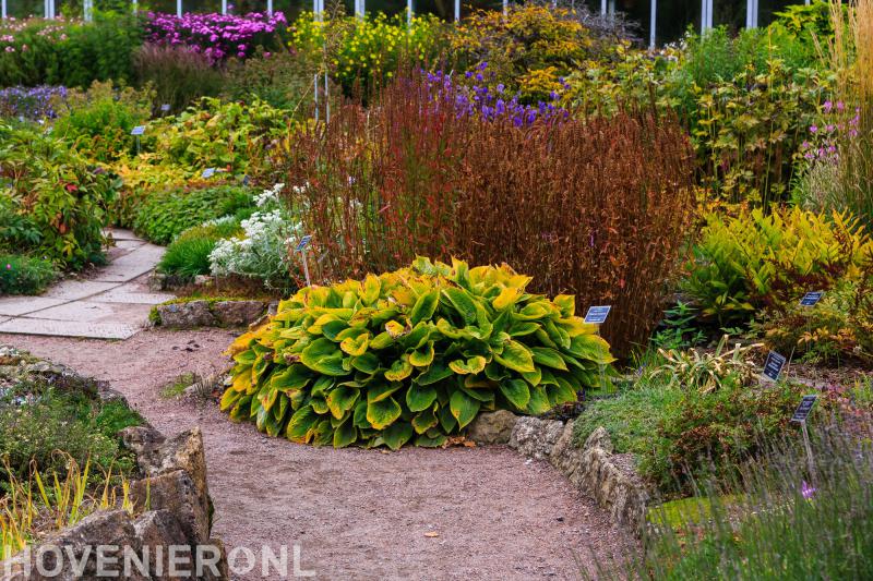 Hoveniersbedrijf/kwekerij Martin Kleermaker