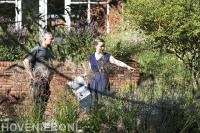 Tuinaanleg Tuinontwerp Tuinonderhoud Den Haag