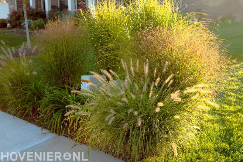 Hoveniersbedrijf Roel Timmerman