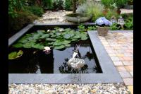 Kleine vijver met waterlelies en waterornament