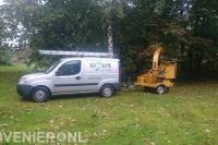 Toppunt Boomverzorging & Boomrooierij