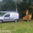 Toppunt Boomverzorging & Boomrooierij