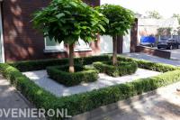 Voortuin met heggen en kiezels