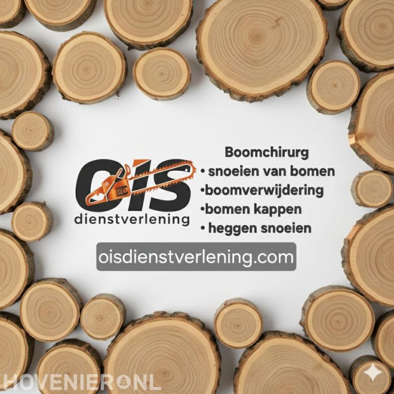 OIS dienstverlening