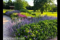 landelijke tuin met plukbloem border na tuinontwerp-florera.nl
