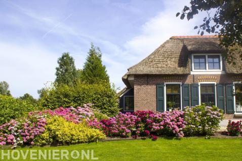 Boerderijtuin met gazon en kleurrijk bloeiende beplanting