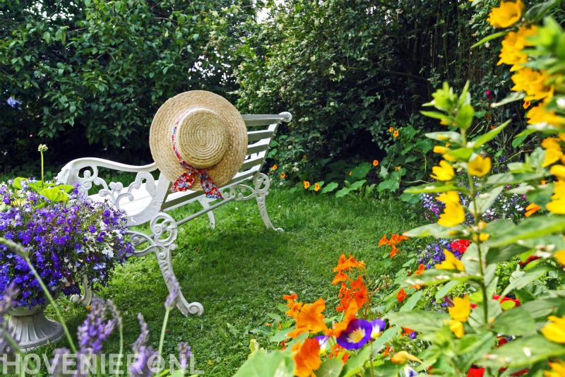 Hoveniersbedrijf Hanewinkel