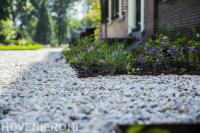 Landelijke sfeer met planten en kiezels