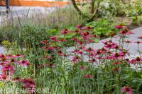 moderne tuin met pluktuin bloemen via tuinontwerp-florera.nl