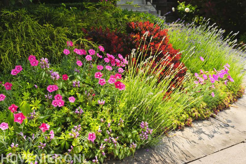 Hoveniersbedrijf Warnders