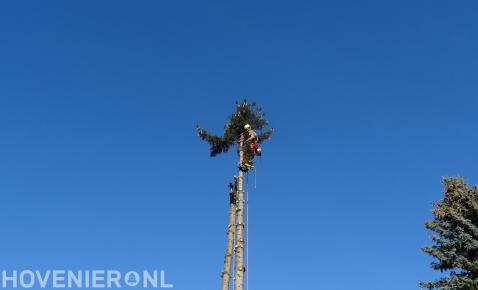 Boom kappen mbv klimtechnieken 1