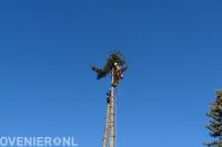 Boom kappen mbv klimtechnieken 1