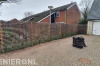 Schutting van betongaas met klimop