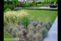 Strakke tuin met terras, vijver, gazon en siergrassen