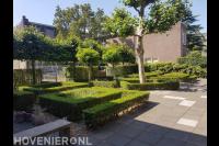 Strak gesnoeide hagen